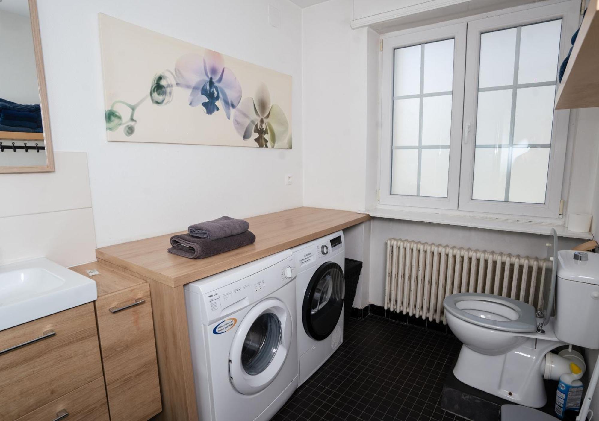 Charmant Appartement Avec Terrasse Dans Villa Strasbourg Bagian luar foto